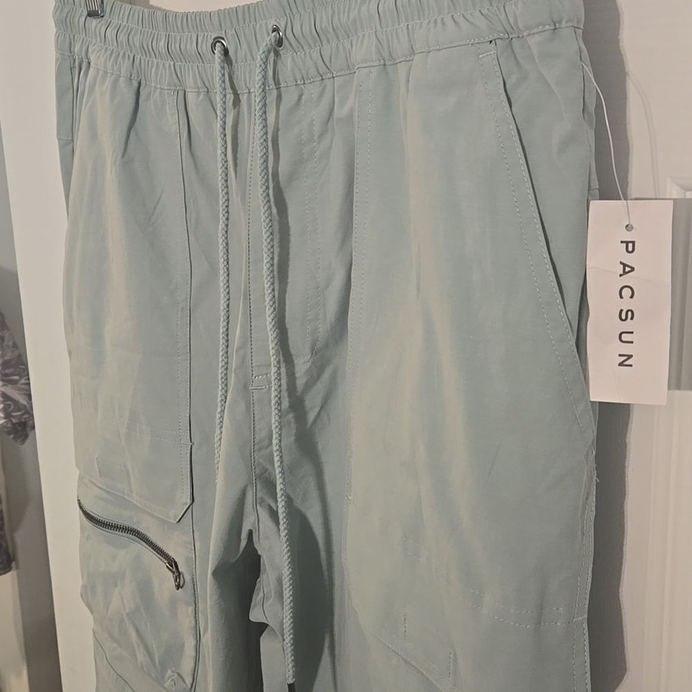 Men's pacsun Light Green Cargo Pants size large new with tags - Picture 2 of 12